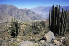 Colca Valley