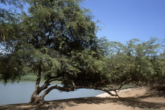 Cerros de Amotape National Park