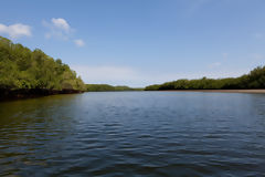 National Sanctuary of the Tumbes Mangroves