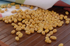 Canario Beans