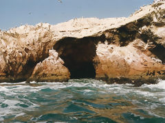 Ballestas, Paracas