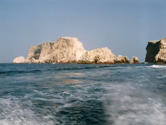 Ballestas, Paracas