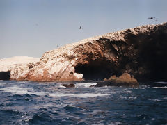 Ballestas, Paracas