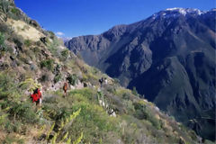 Colca Canyon