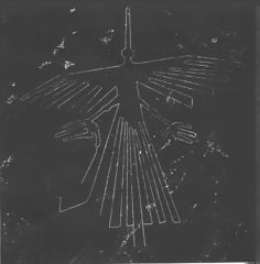 The Bird, Nazca