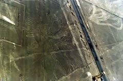 The Tree, Nazca