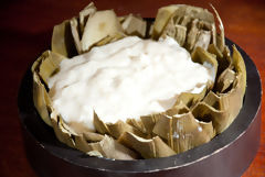 Artichokes in bchamel sauce