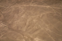 Nazca lines