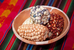 Puno Corn