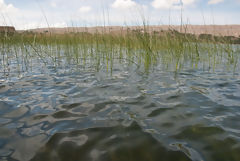 Titicaca Lake