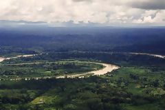 Amazonian Plain