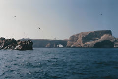 Ballestas, Paracas