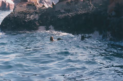 Ballestas, Paracas