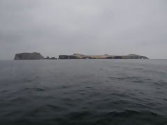 Ballestas, Paracas