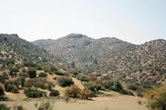 La Leche Valley, Dry Forest