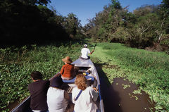 Yanayacu River