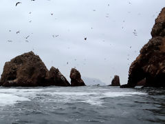 Ballestas, Paracas