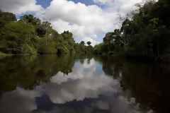 Yanayacu River