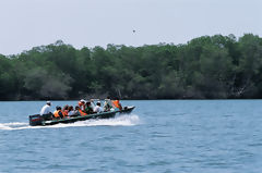 Tourists in the Tumbes Mangroves