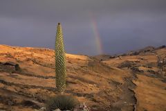 Calipuy National Sanctuary