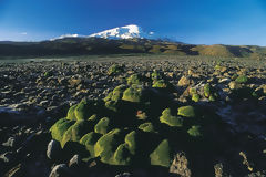 Valley of Volcanoes, Arequipa