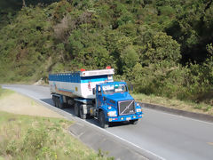 Road in the Jungle