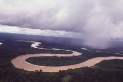 Aerial View of the Amazon River