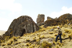 Sachapite Rock Forest