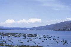 Titicaca Lake