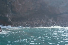 Ballestas, Paracas