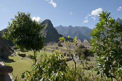 Machu Picchu