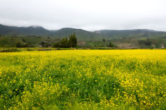 Countryside in the Colca Valley