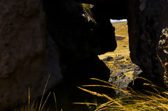 Sachapite Rock Forest