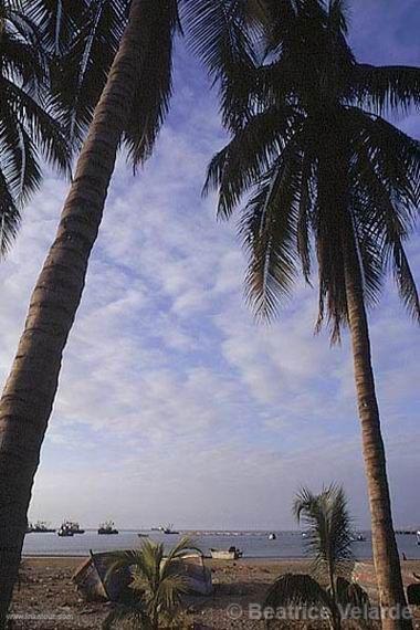 Climate in the region of Piura