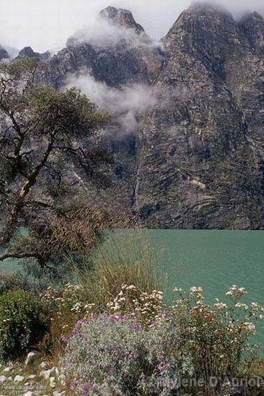 Lagoon of Huacachina, Llanganuco