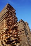 Lumber activity