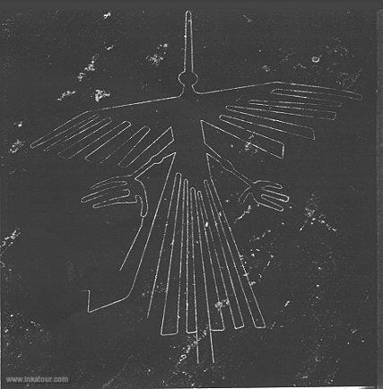 The Bird, Nazca