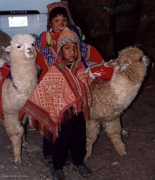 Children and llamas near Cusco, Cuzco