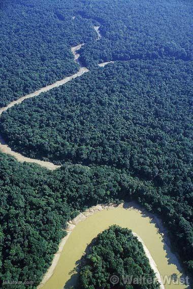 Aerial View of Loreto Jungle