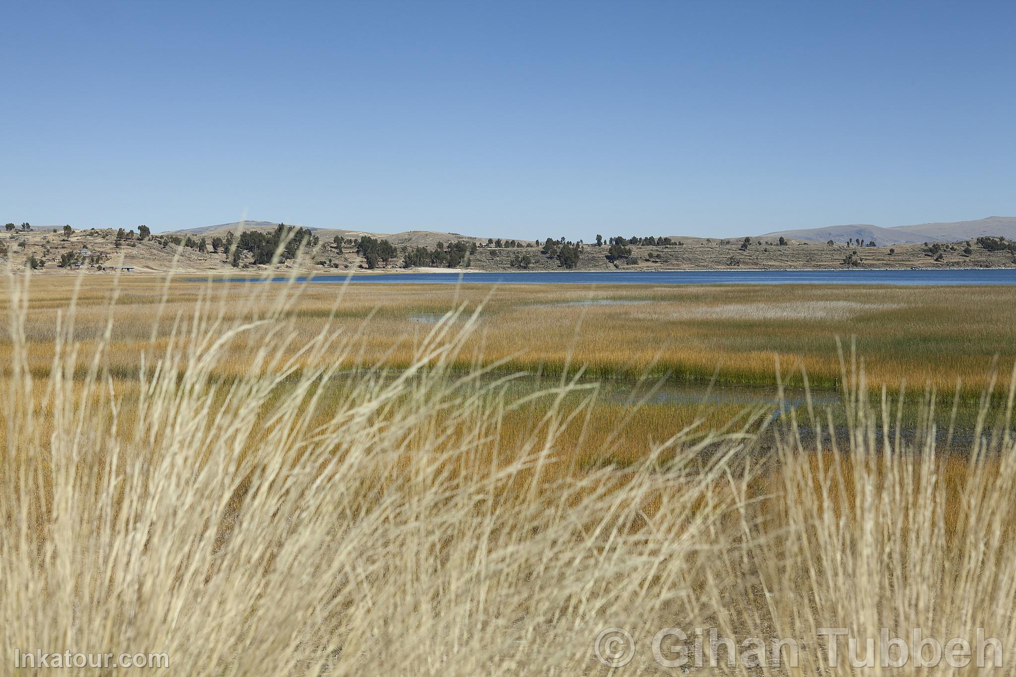 Titicaca Lake