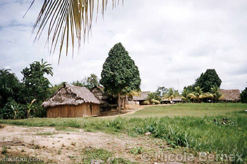 Typical House with Poma Rosa Tree, Nanay