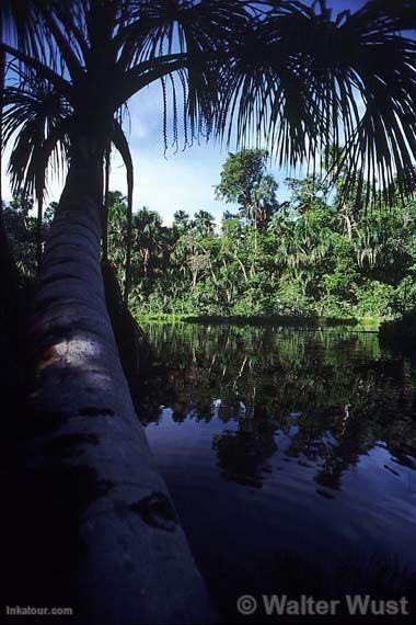 Photo of Peru