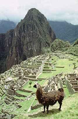 Machu Picchu