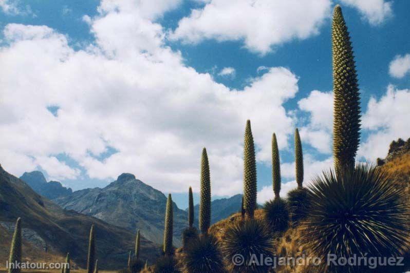 Photo of Peru