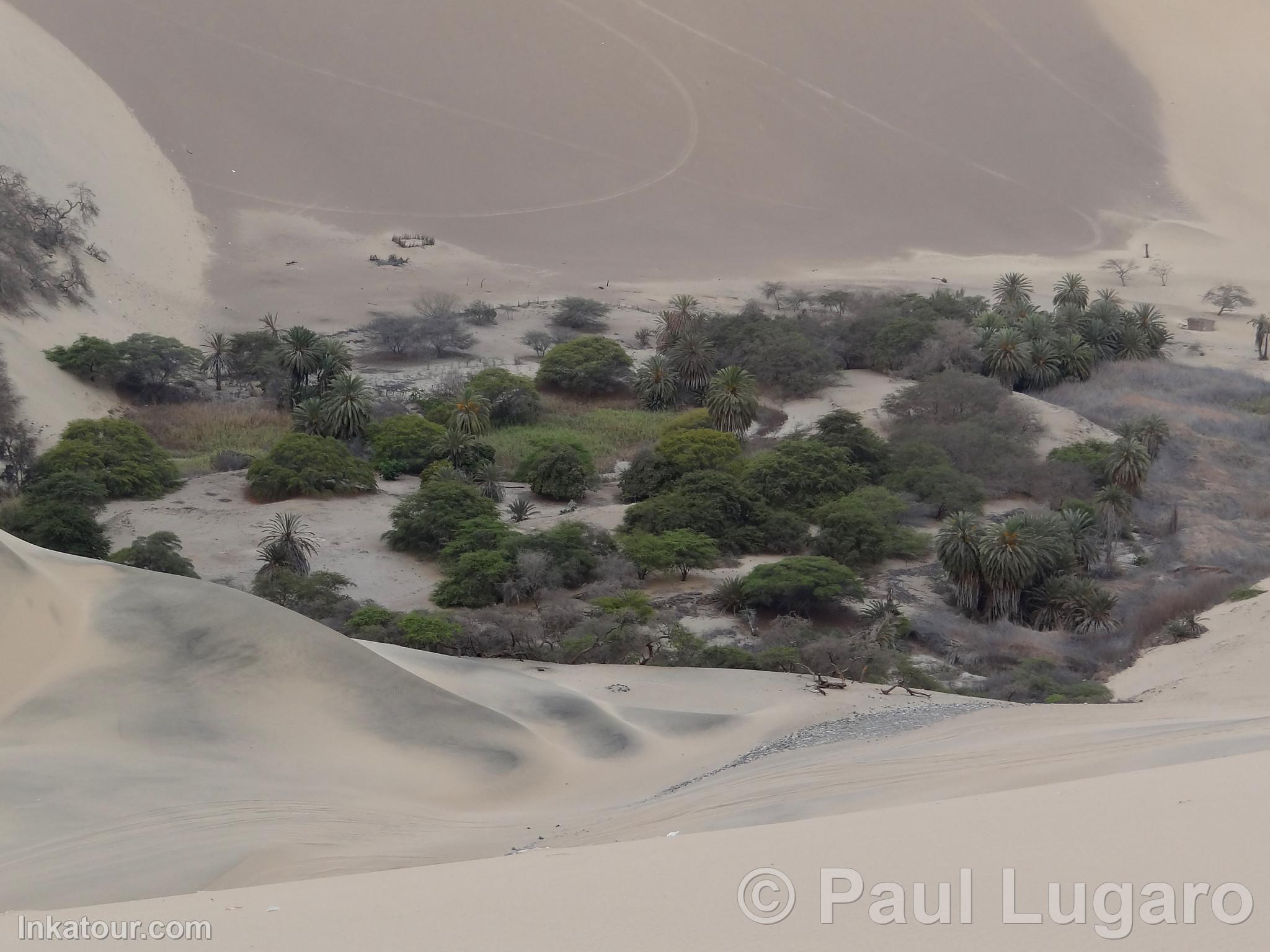 Huacachina