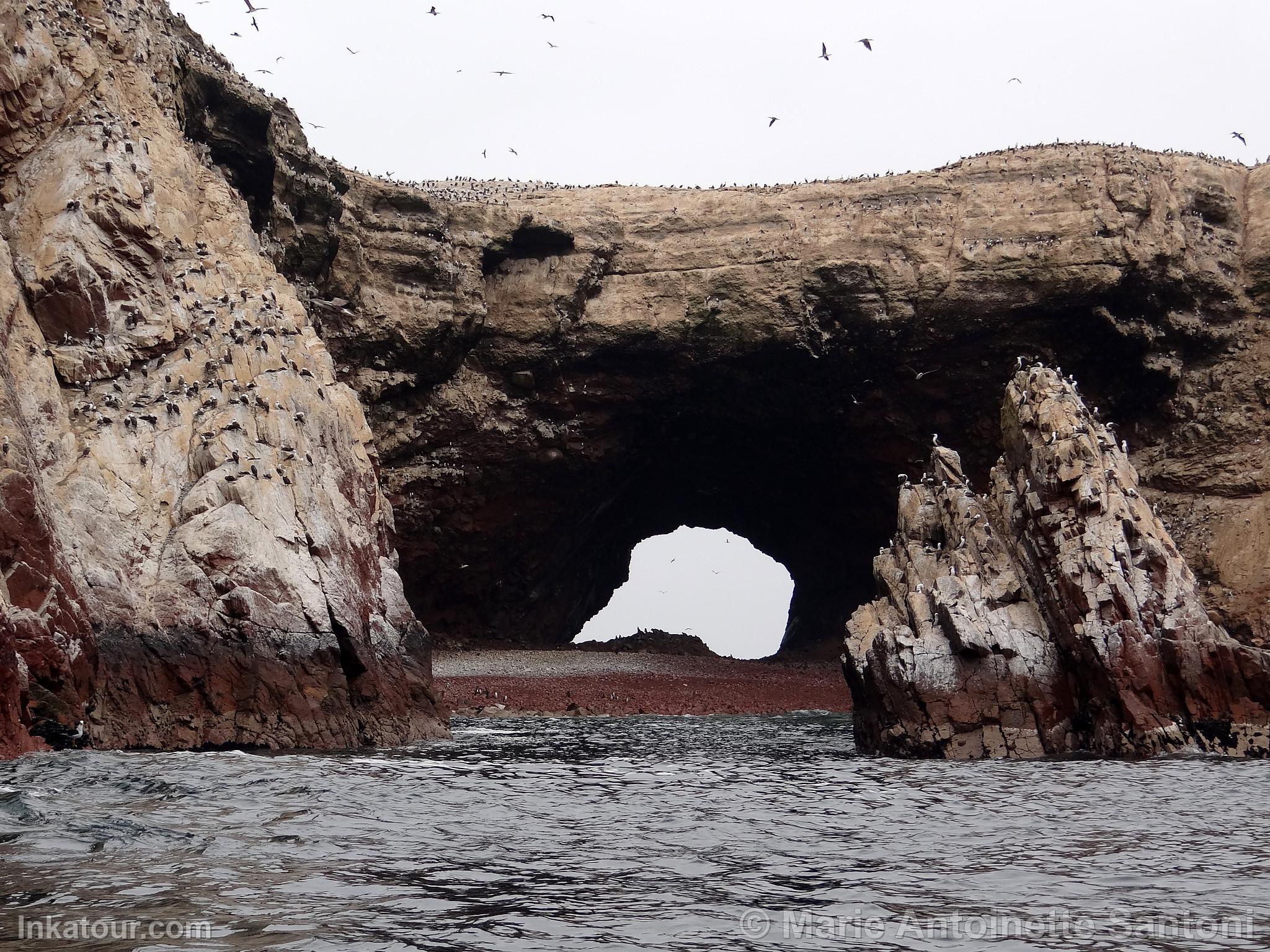 Ballestas Islands, Paracas