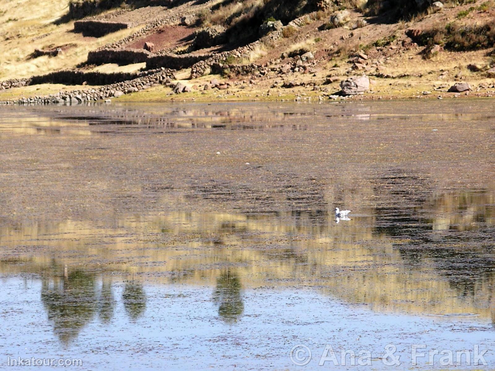 Photo of Peru