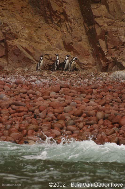 Paracas