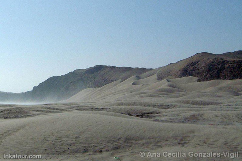 Dunes in Paracas