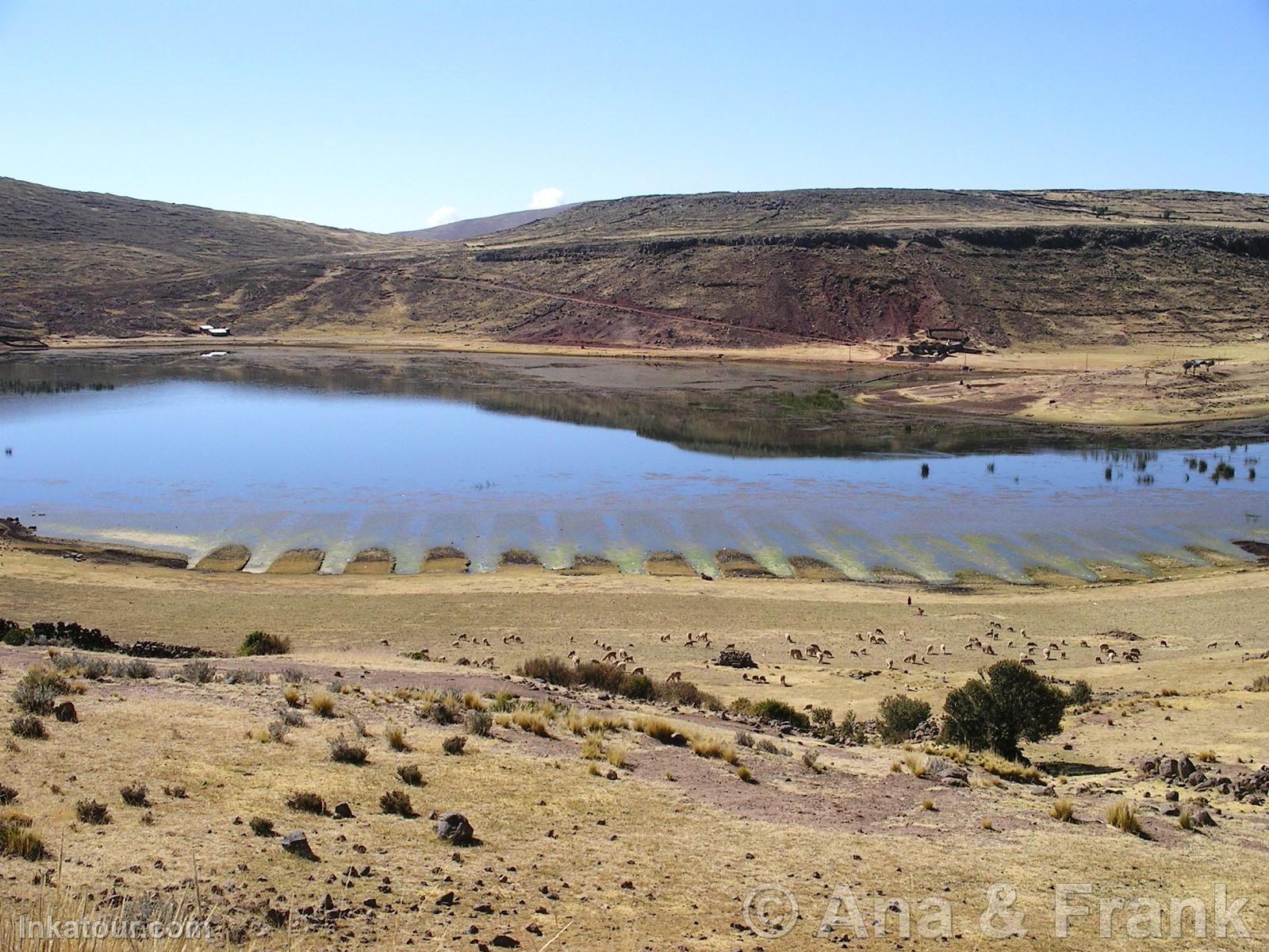 Photo of Peru